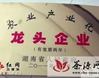 沅陵县干发茶获省农业产业化龙头企业