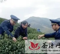 安吉工商局成功打造安吉白茶地理标志证明商标
