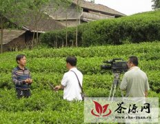 安化全县经济会议：重点建设黑茶产业