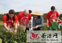 新昌县挖掘茶文化 做足茶旅游文章