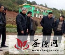 赣州市委农工部领导调研上犹县“两茶一苗”产业