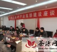 信阳市浉河区召开茶产业集群建设座谈会