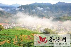 安溪涉茶产业总产值92亿 位列全国产茶县之首