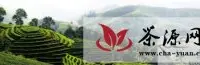周宁县启动第二轮当代茶业临盆成长项目
