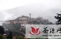 西坪镇打响中国铁观音原乡品牌