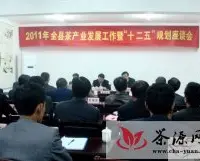 庐江召开茶产业发展规划工作会议