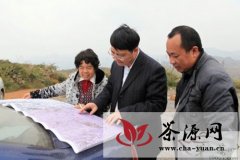 潘盛江到晴隆县安谷调研茶产业发展情况