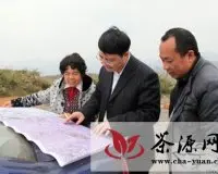 潘盛江到晴隆县安谷调研茶产业发展情况