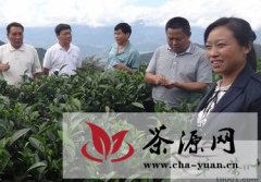梁河县2011年有机茶转换项目通过州级验收