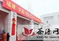 福建安溪茶业专业人才市场正式揭牌