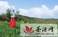 茶机具助推安溪茶产业转型跃升