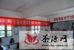 岳西县正式启动建设姚河香炉茶叶示范点