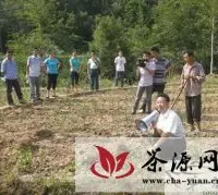 四川省级农业科技园区茶叶科技特派员现场培训