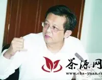 杨光鑫：湖南或将实现茶产业跨越式发展