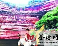 安溪：抢占制高点 建设现代茶业强县