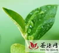 国萃绿茶油?中国高端茶籽油第一品牌