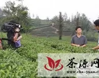 《茶周刊》联袂CCTV7乡土栏目走进基层茶乡
