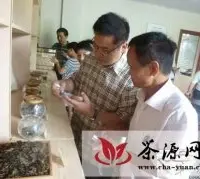 福鼎市开展生态茶园建设暨白茶创新产品报告会