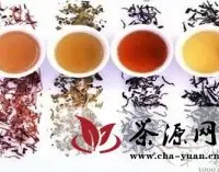 秋季饮青茶 茶香识健康