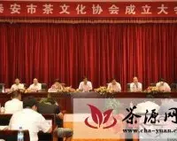 山东:泰安成立茶文化协会