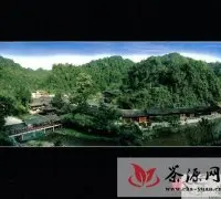 中国苔茶之乡、石阡首届苔茶文化旅游节9月份开幕
