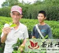 李红甲：88岁茶农的46岁阿公茶