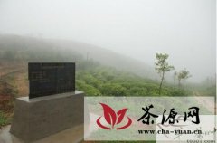 福建省农业厅寻找坦洋工夫母种菜茶