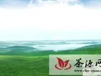 贵州：最美茶乡－－湄潭