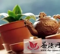 贵州：安顺茶乡 品茶人的天堂