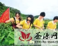 华裔青少年福建采摘大红袍