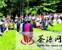 湖北：五峰政协开展茶叶科技下乡帮农活动