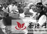贵州：务川“大树茶”香飘八方
