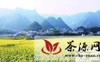 贵州湄潭：茶产业强力推动新农村建设
