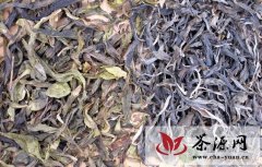 普洱茶老叶子——老黄片