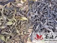 普洱茶老叶子——老黄片