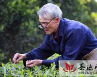 中国茶叶的十大世界之最   饮茶传播世界各国最早