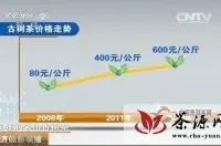 云南古树茶价格大涨，最高每公斤两万元