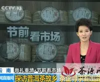 CCTV13探访普洱茶故乡,茶企寻求新出路
