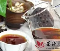 哪些国家热衷于普洱茶吗？