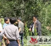 云县白莺山、临翔区昔归茶山、凤庆县凤庆茶区的生态指数