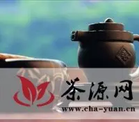 泡普洱茶：闷泡法和煮茶法