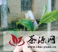 图解普洱茶制作流程