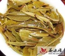 中国普洱茶网教你从叶底辨别茶质