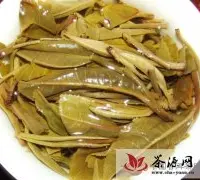 中国普洱茶网教你从叶底辨别茶质