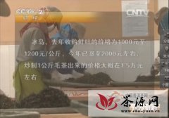 【CCTV2】普洱疯抢古树茶，品饮消费市场才是出路