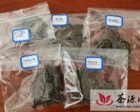 中国普洱茶网旗下爱上普洱茶商城第一期派茶记