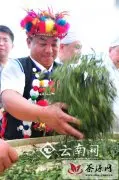 茶王“斗茶” 展示独特的少数民族茶文化内涵