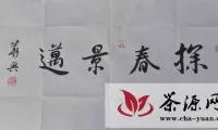 2013云南西双版纳普洱茶基地春茶采摘节开幕