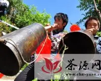 凤庆举行3200年“高龄”“锦秀茶祖”古茶树祭祀仪式