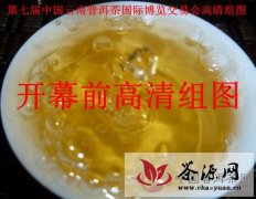 第七届中国云南普洱茶国际博览交易会高清组图